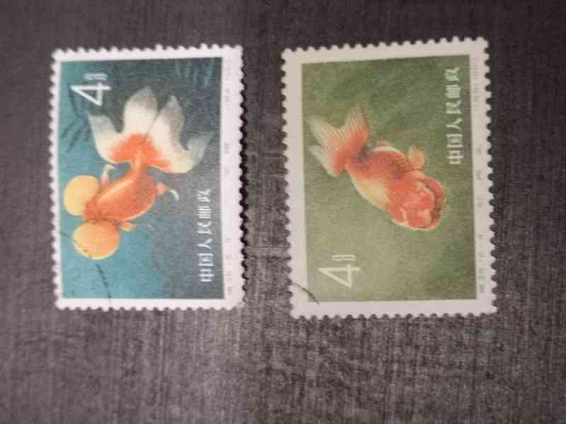 1960 ČÍNA - GOLDEN FISH (6ks) - foto 3