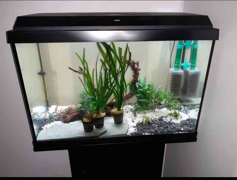 Akvarijní set - akvárium,stolek, příslušenství - foto 2