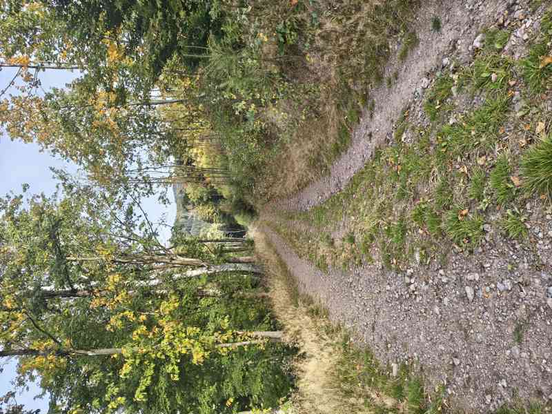 Kounov - prodej chaty s pozemkem 920 m2 - foto 20
