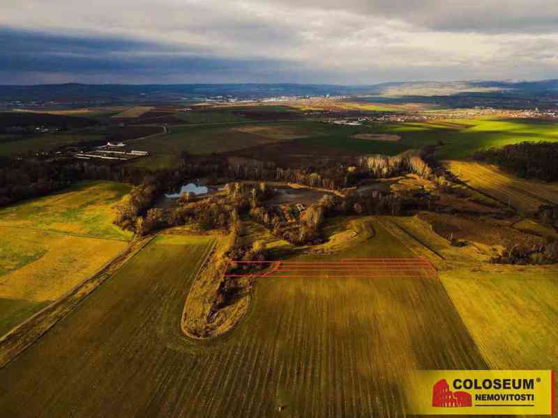 Vacenovice, orná půda, 6667 m2 – pozemek - foto 4