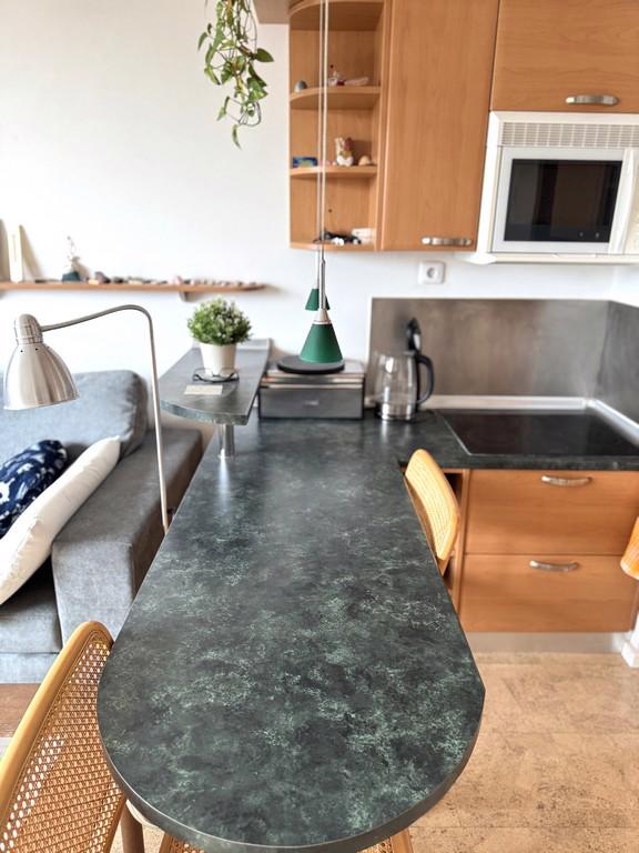 PODNÁJEM CIHLOVÉHO BYTU 1+KK S VÝHLEDEM BRNO – ŽEBĚTÍN - foto 4