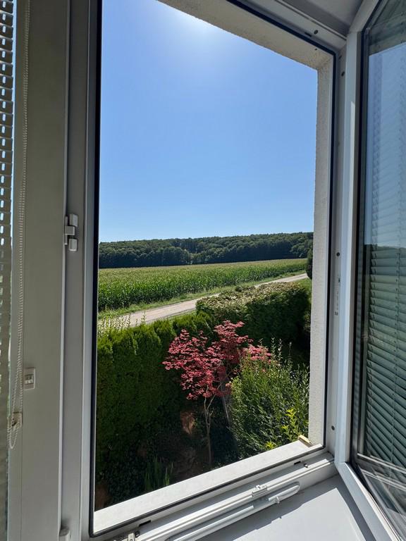 PODNÁJEM CIHLOVÉHO BYTU 1+KK S VÝHLEDEM BRNO – ŽEBĚTÍN - foto 11