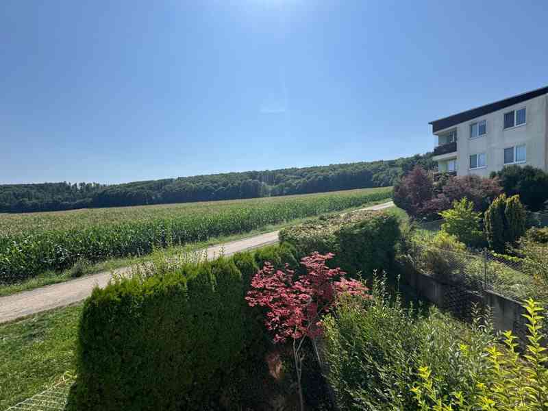 PODNÁJEM CIHLOVÉHO BYTU 1+KK S VÝHLEDEM BRNO – ŽEBĚTÍN - foto 12