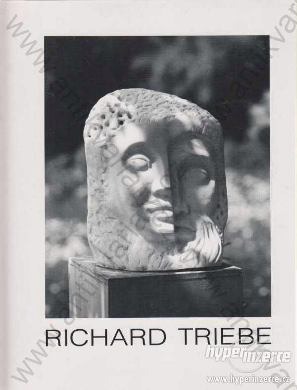 Richard Tribe Skulptur, plastik, grafik 1993 - foto 1