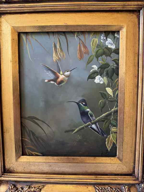Kolibřík - obraz ve zlatém zdobeném rámu - foto 2