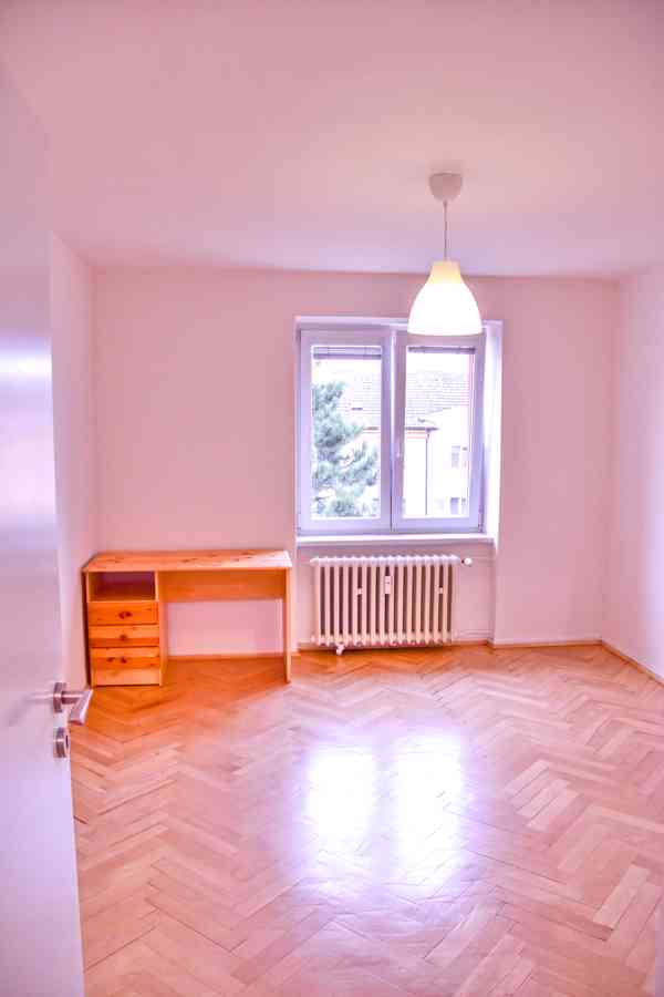 Luděk Nedvídek - foto 7