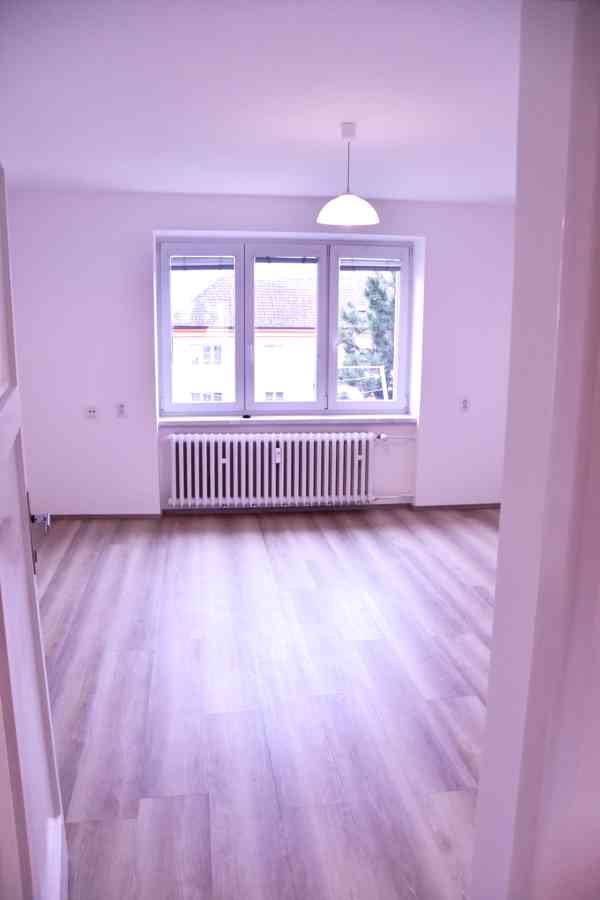 Luděk Nedvídek - foto 5