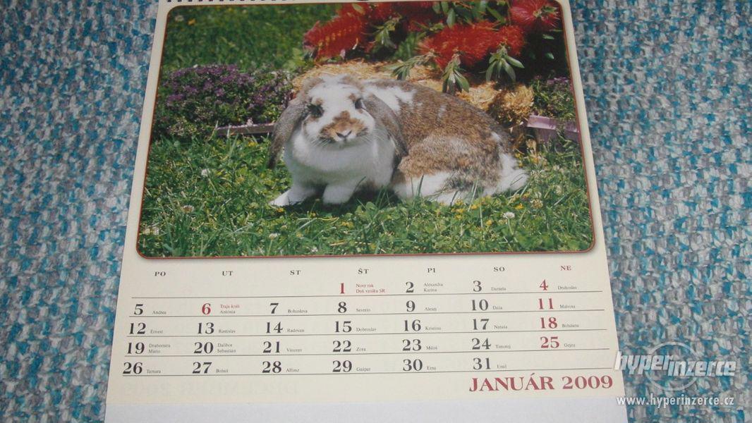 Kalendář Zajace 2009. - foto 3