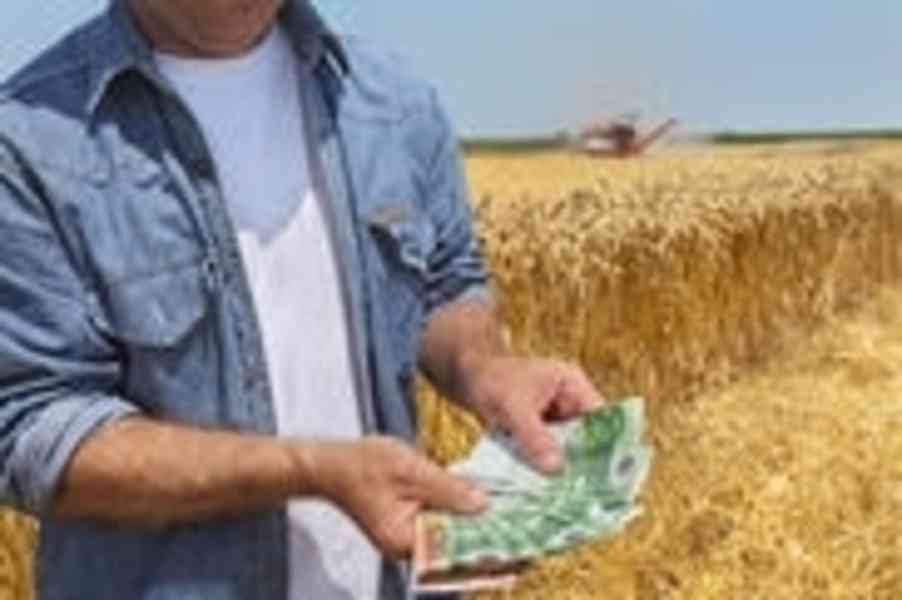 Nabídka půjček: zemědělcům, realitám i soukromým osobám  Dob - foto 1