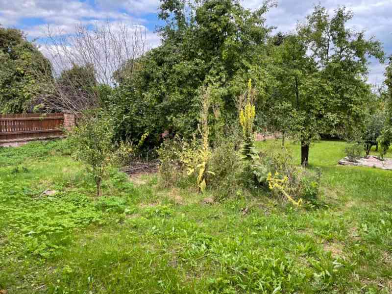 Prodej podílu o velikosti id. 1/10 - obec Šafov - foto 3