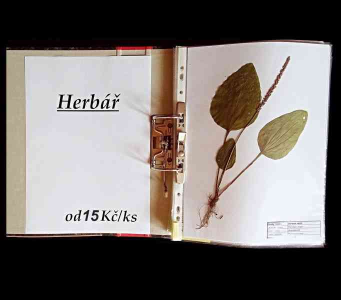 Herbář na zakázku - foto 1