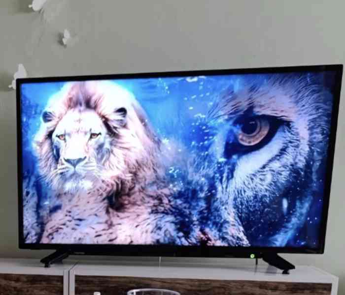 Televize Toshiba