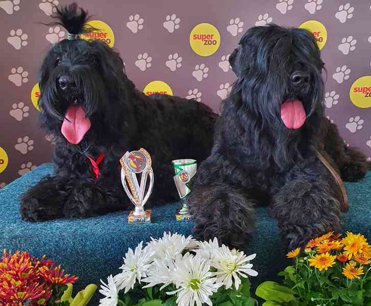 Veronika Minaříková - foto 3