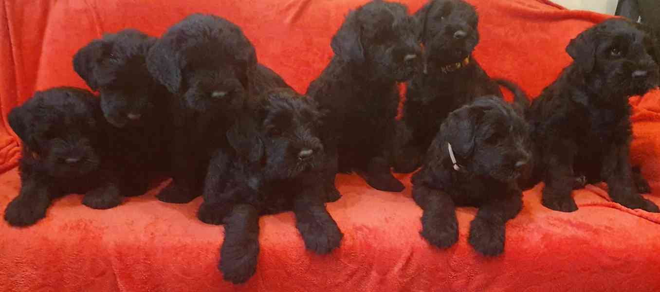 Veronika Minaříková - foto 2