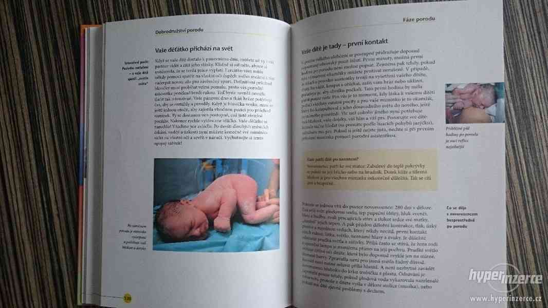 Těhotenství a porod - Co se děje v ženském těle - foto 4