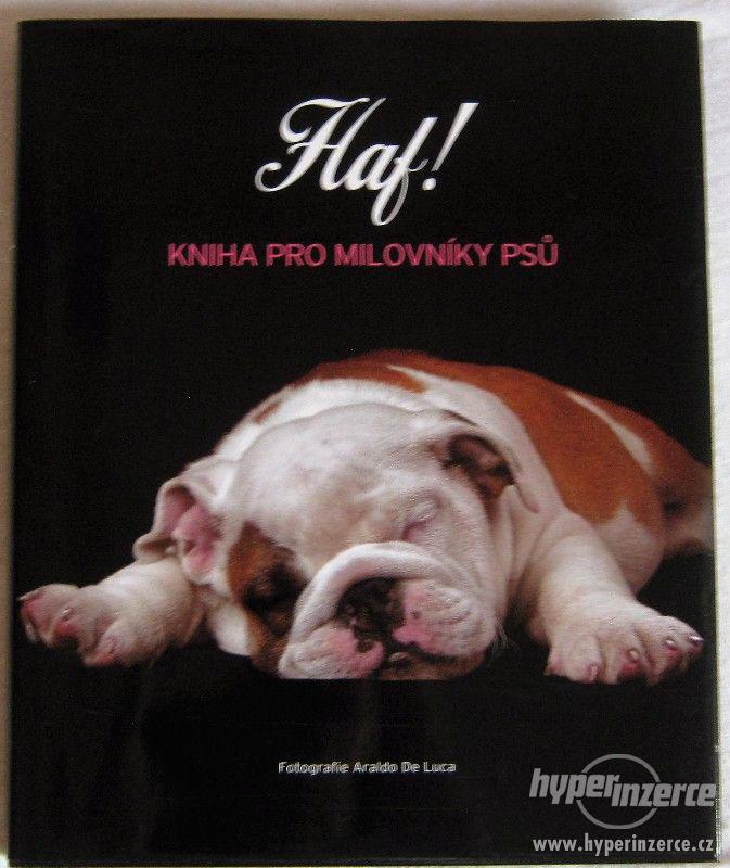 Haf! Kniha pro milovníky psů - foto 1
