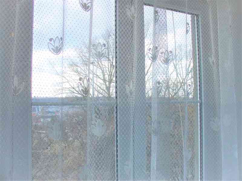 Pronájem bytu 2+kk, 45 m2, Praha 9, Prosek - ZAHRADA - foto 4