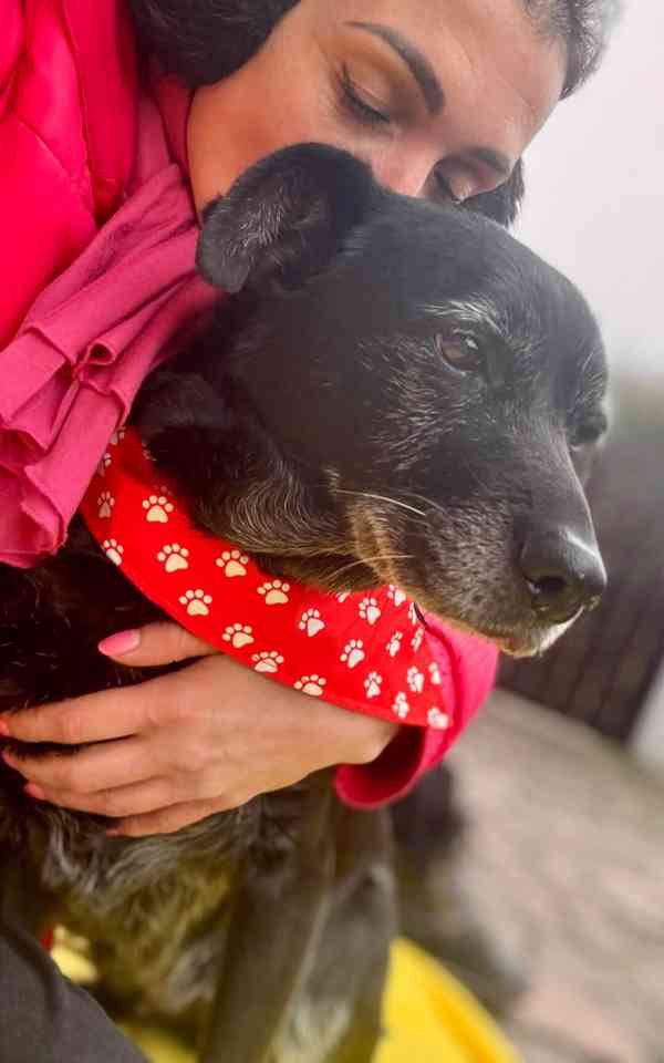 CASSYNKA - 22 kg, kastrovaná fenečka 11 let  - foto 5