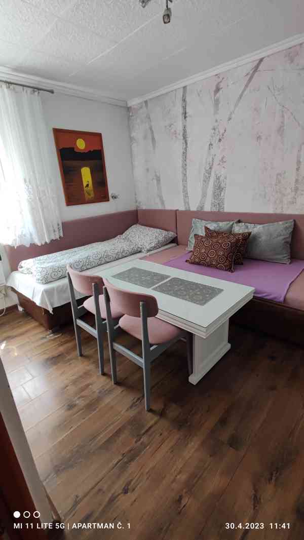 Jeseníky - 29. -6. 6.7rodinný apartmán So až So 4 os. - foto 17