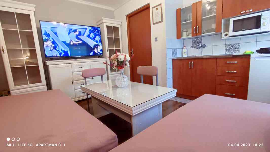 Jeseníky - 29. -6. 6.7rodinný apartmán So až So 4 os. - foto 19