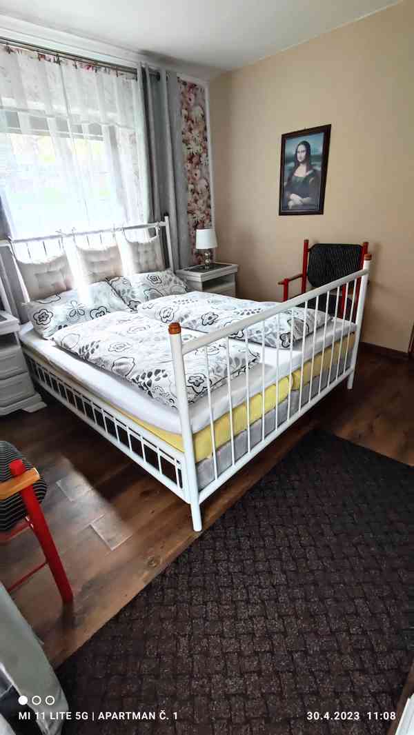 Jeseníky - 29. -6. 6.7rodinný apartmán So až So 4 os. - foto 16