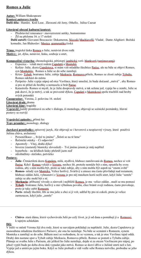 maturita ČESKÝ JAZYK - foto 2