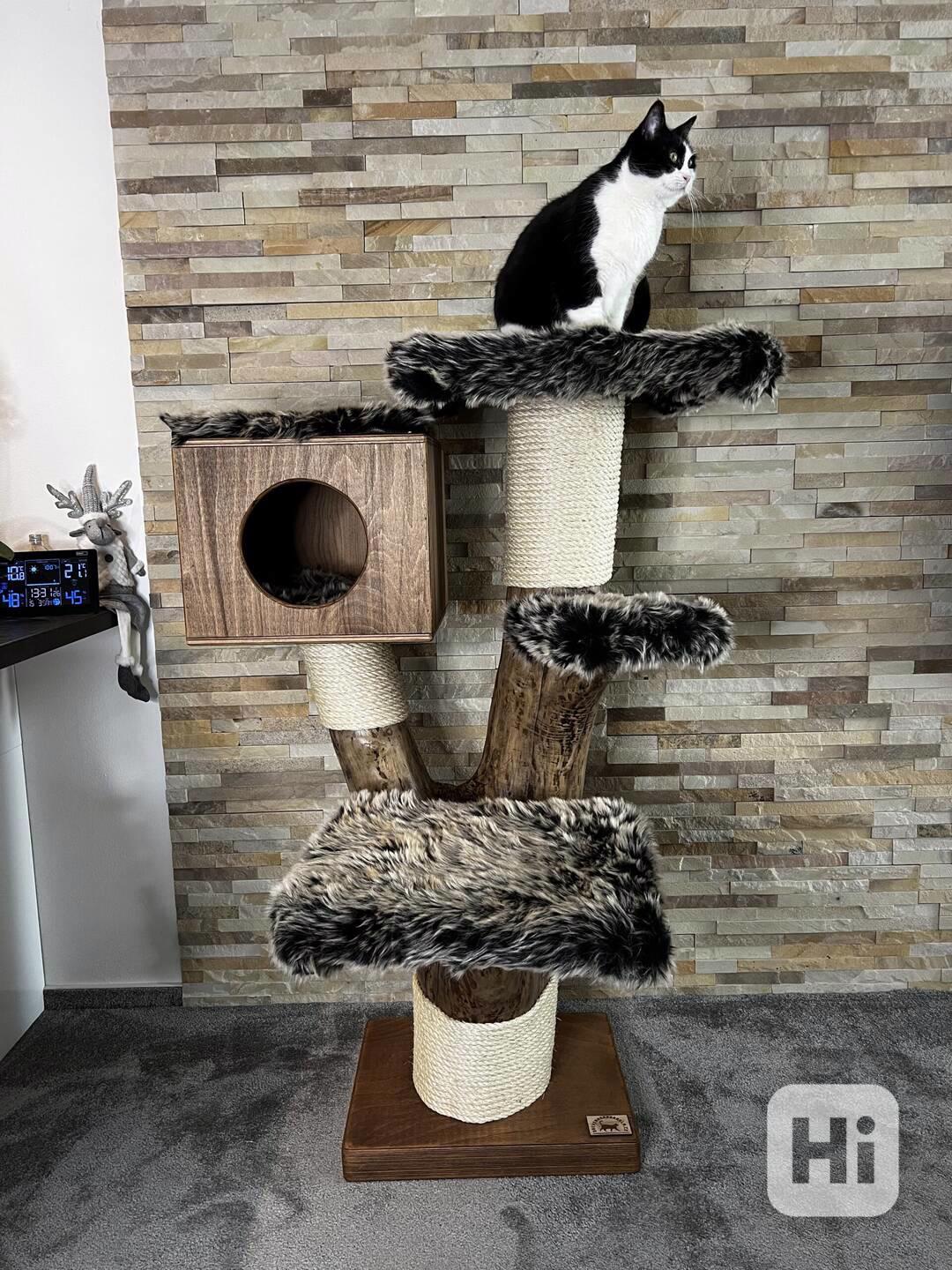 Škrabadlo s boudičkou  - foto 1