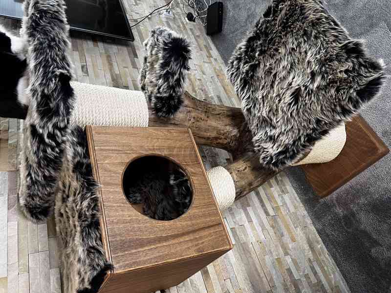 Škrabadlo s boudičkou  - foto 3