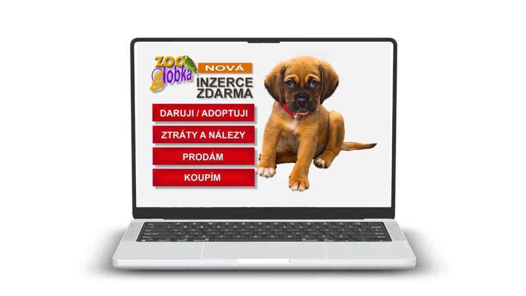 Webové stránky - tvorba, design, správa ... - foto 2
