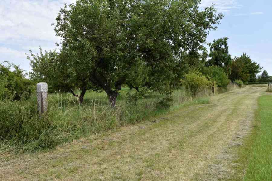 Rychnovek - Zvole - prodej souboru pozemků o výměře 5122 m2 - foto 3