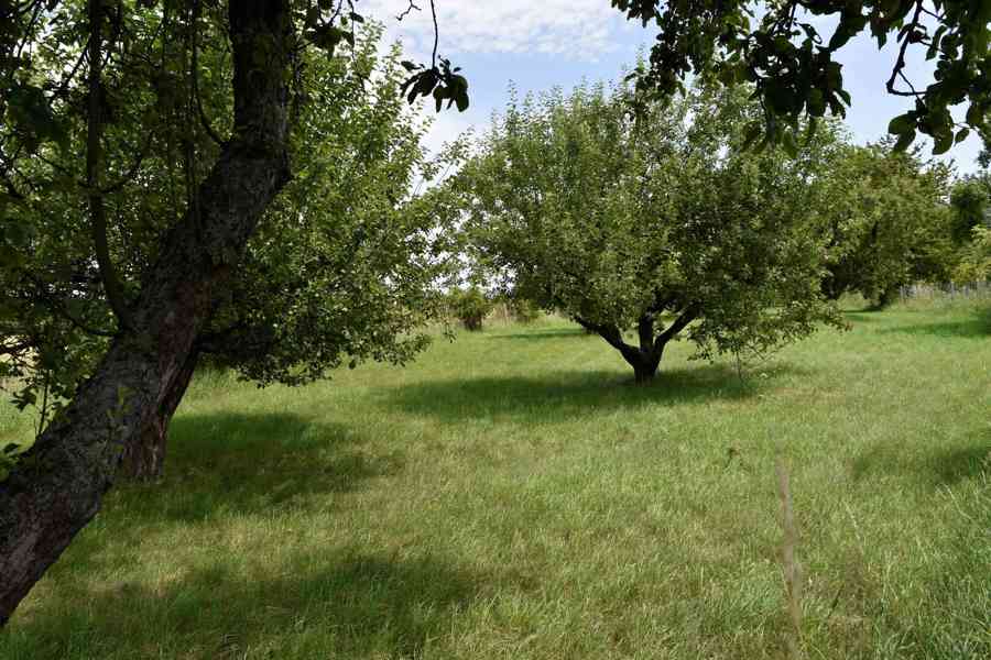 Rychnovek - Zvole - prodej souboru pozemků o výměře 5122 m2 - foto 2