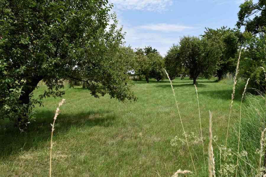 Rychnovek - Zvole - prodej souboru pozemků o výměře 5122 m2 - foto 4