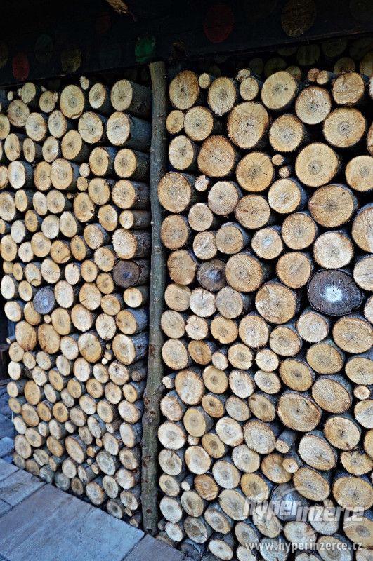 Palivové dřevo- měkké - foto 2