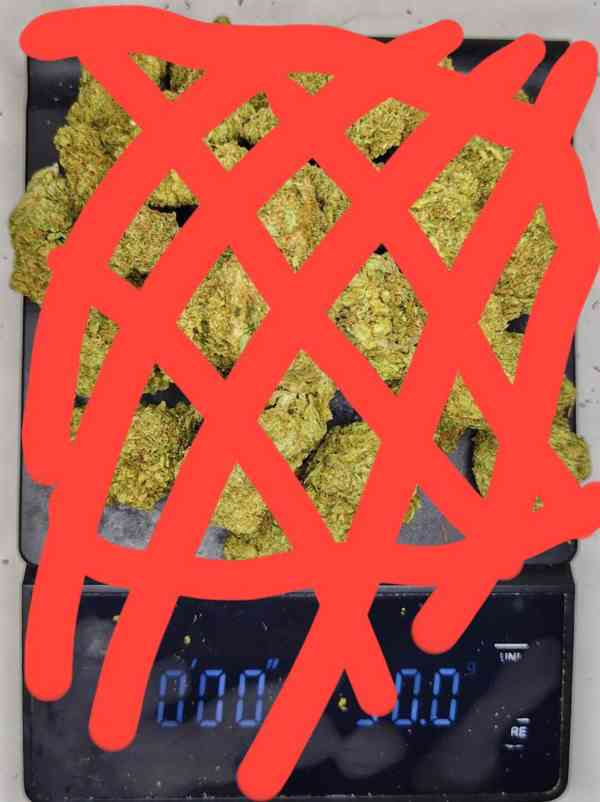 Snow ❄️☘️  - foto 2