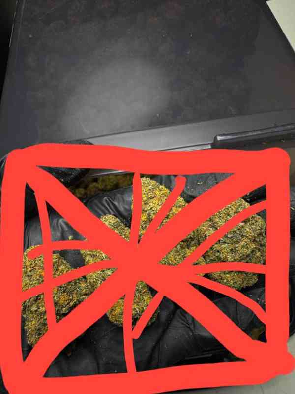 Snow ❄️☘️  - foto 4