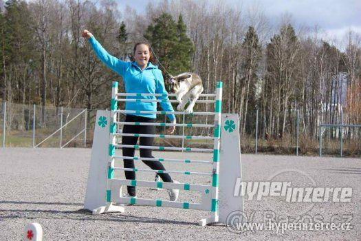 Sportovní králík - králičí hop !! - foto 1