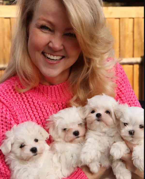 💚🤎PŘIPRAVENI K ODBĚRU 2 HOLKY 1 KLUK MALÉ PSÍCI MALTAŠŮ 💙 - foto 1