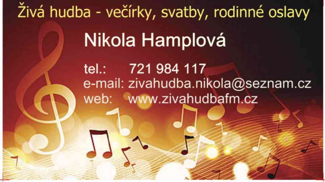 Živá hudba (večírky, svatby, oslavy) - foto 2