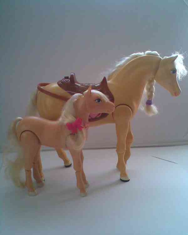 Barbie veterina polovinu zvířat - foto 13