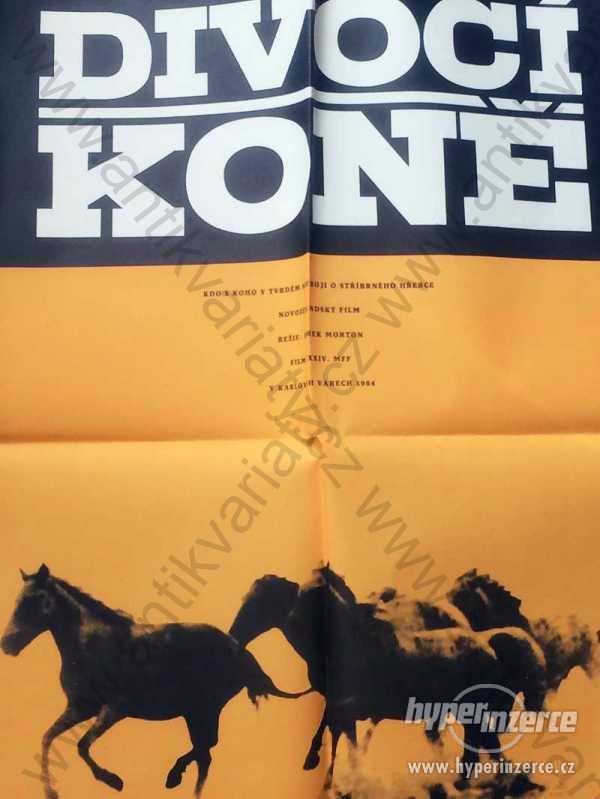 Divocí koně film plakát Štefan Theisz 1985 83x58cm - foto 1