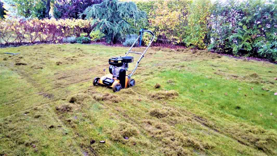 Vertikutace a sečení trávníku - foto 3