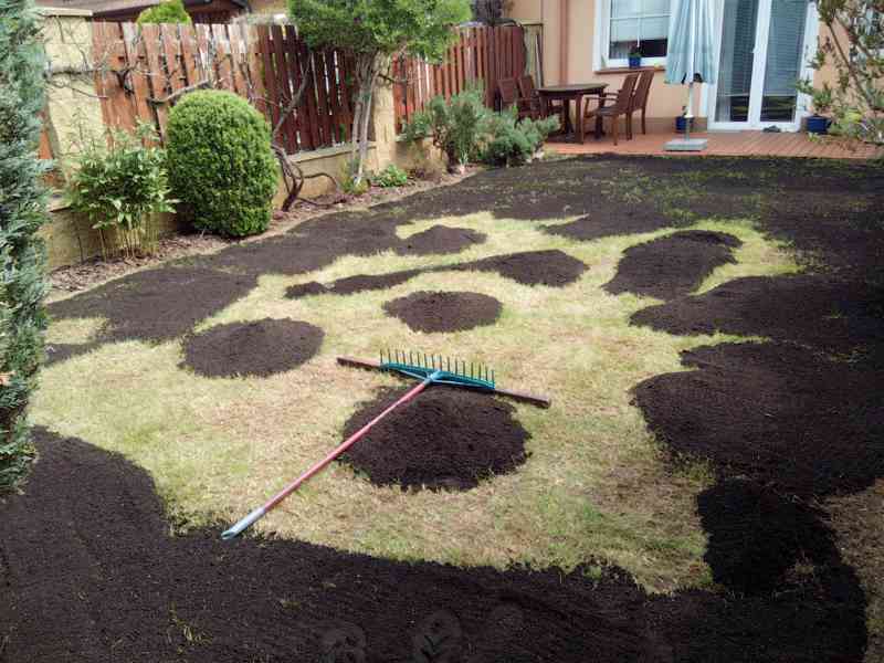 Vertikutace a sečení trávníku - foto 4