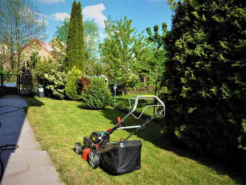 Vertikutace a sečení trávníku - foto 7