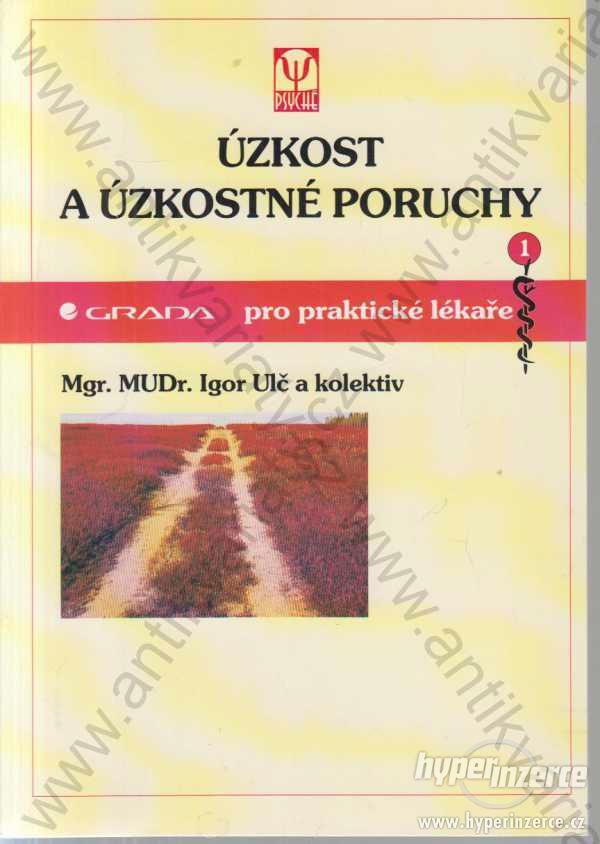 Úzkost a úzkostné poruchy Igor Ulč a kol. 1999 - foto 1