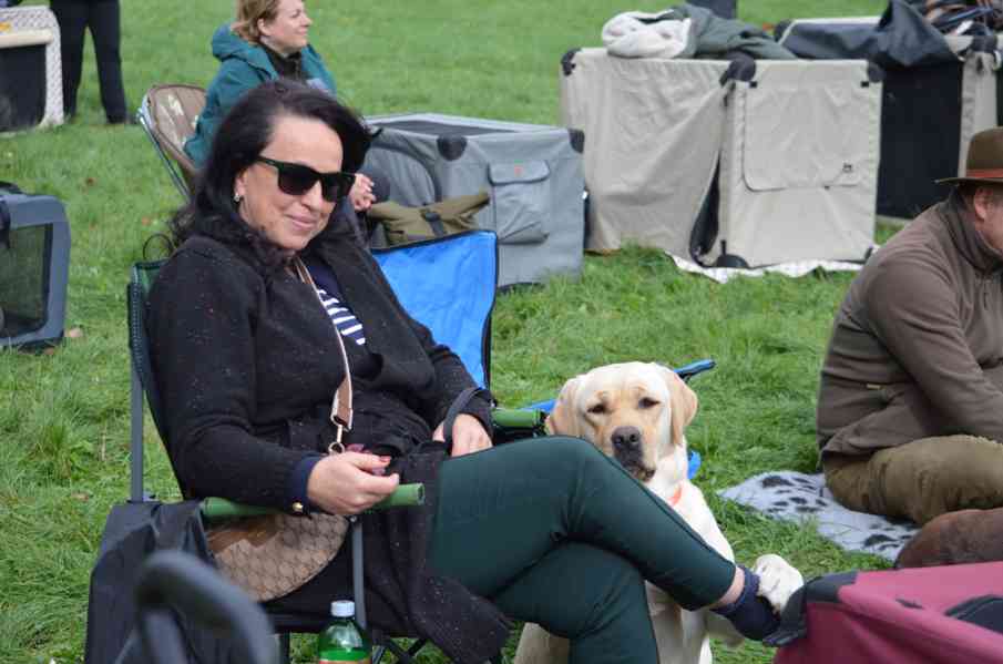 Labrador štěňata holčičky s PP - foto 5