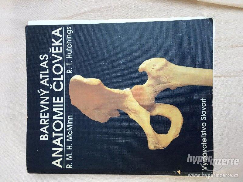 Barevný atlas anatomie člověka - foto 1