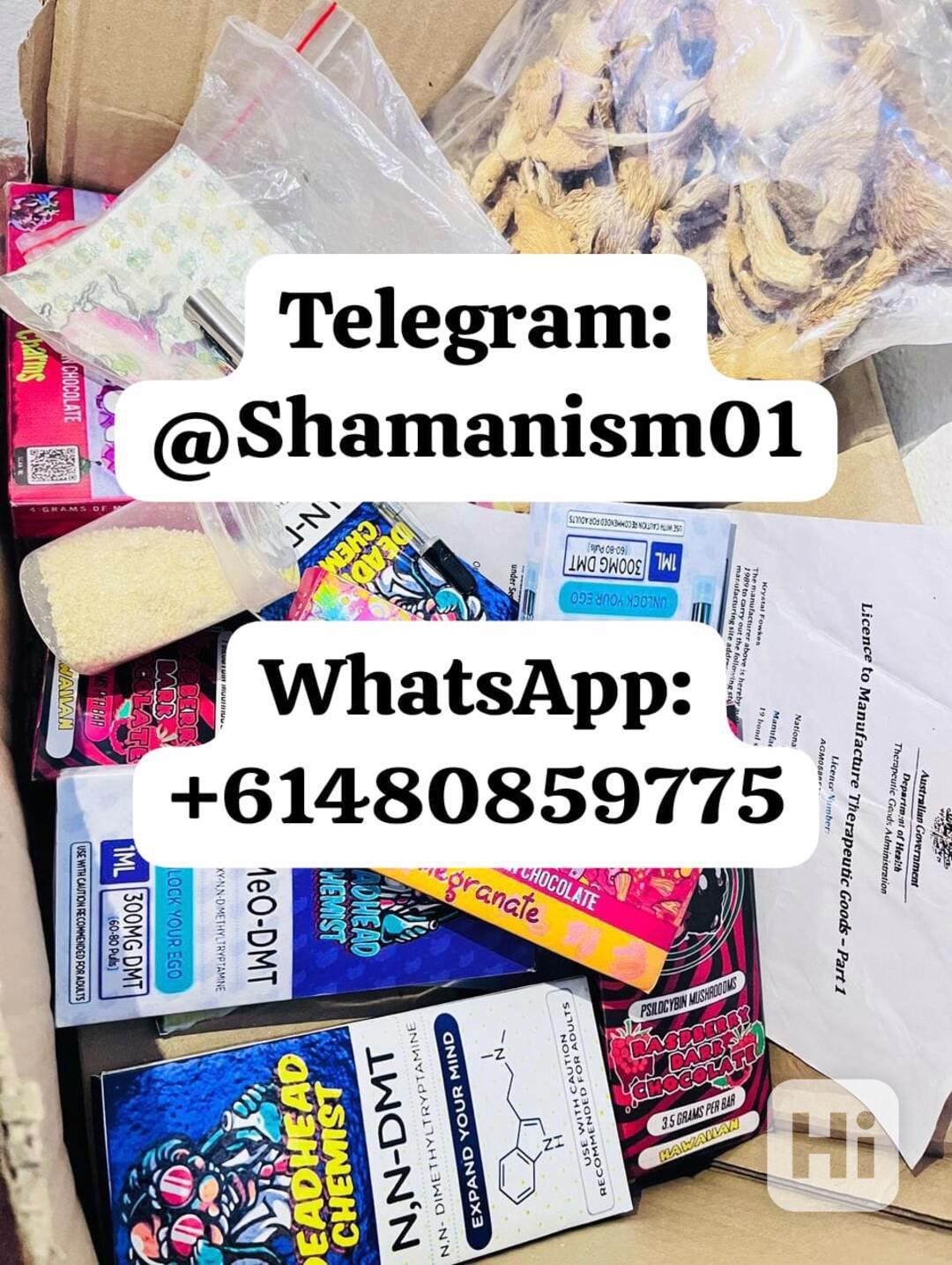 .Telegram:(@Shamanism01)  WhatsApp(+61480859775) #Green🍁#co - foto 1