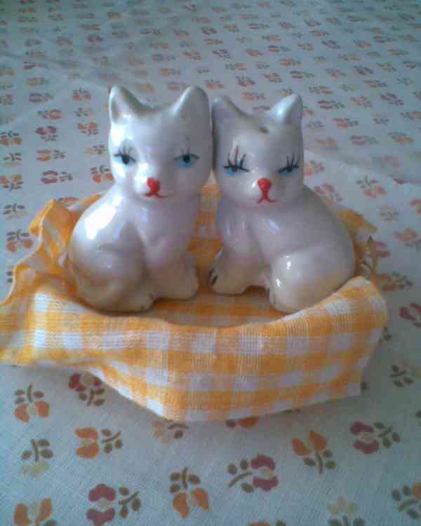 Kočičky do kuchyně - foto 3