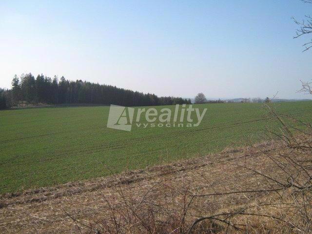 Prodej zemědělské pozemky 54 823 m2 u obce Oldřichovec - Smilkov, okres Benešov - foto 1
