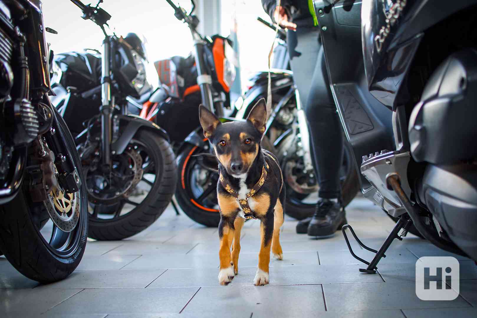 Aprilia – vhodná do terénu i města - foto 1